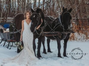 Bride standing with 2 horses carrying a sleigh