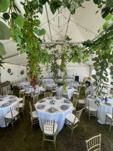 Vines hanging inside a wedding tent