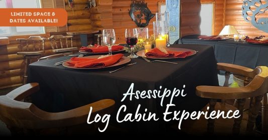 Asessippi Log Cabin Experience'23 RECTANGLE (1200 x 630 px)